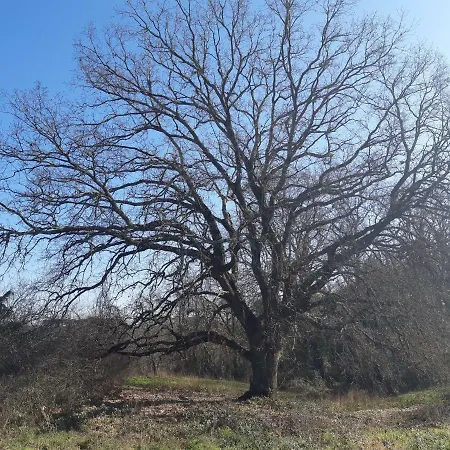 Montecaminetto Sacrofano