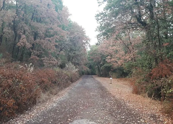 Κατάλυμα σε φάρμα Montecaminetto *